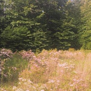 Meet your Posher, Lily